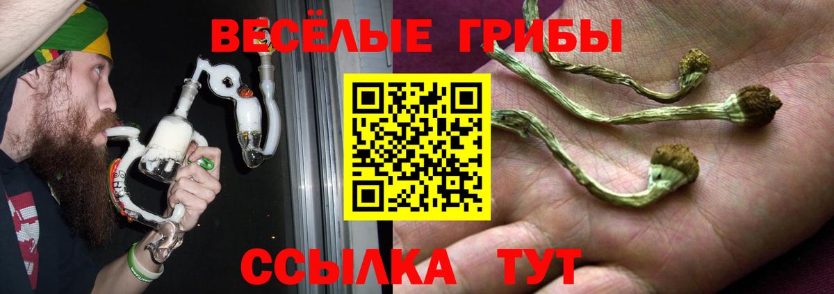 купить  цена  Псилоцибиновые грибы Psilocybe  Вход с VPN  Белорецк 