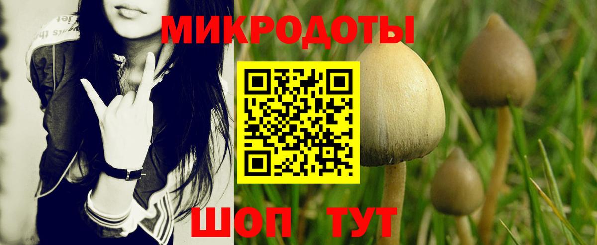 Псилоцибиновые грибы Cubensis Белорецк